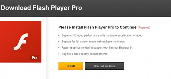 Bogus Flash Player Pro installation prompt displayed on a web page